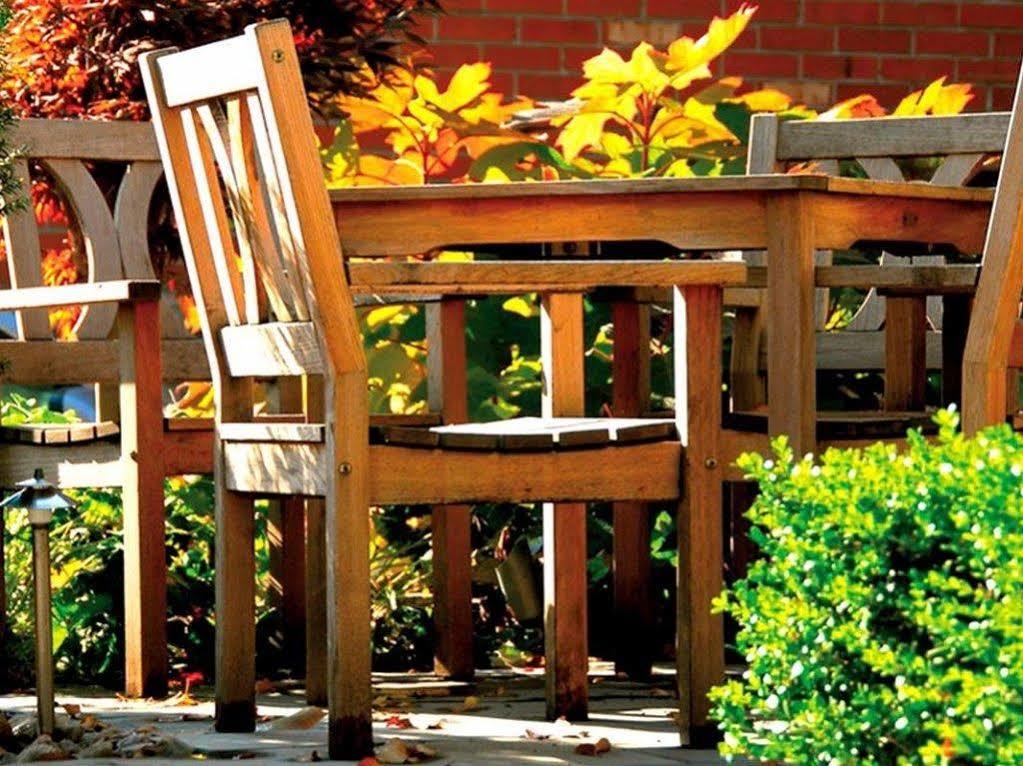 Logis Terrasse Hotel Lisieux Zewnętrze zdjęcie